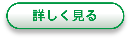 詳しく見る