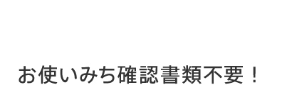 フリーローン お使いみち確認書類不要！